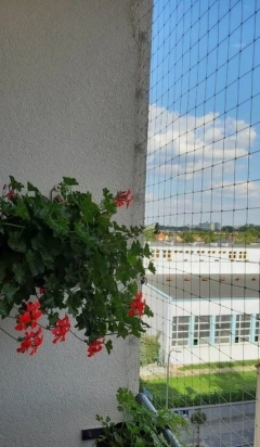 Siatka na balkon okna dla kotka przeciw gołębią ptakom