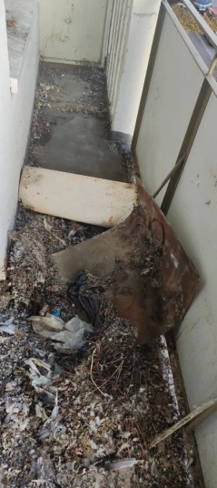 Siatka na balkon okna dla kotka przeciw gołębią ptakom