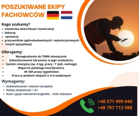 Poszukiwane grupy fachowców