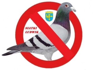 Opole Siatka dla kota na gołębie