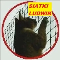 Siatka kot gołąb balkon okna taras Opole Ludwik