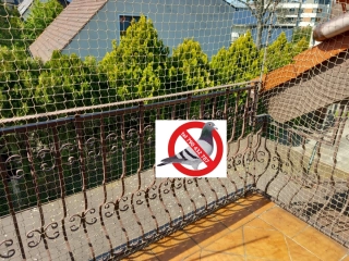 Siatka kot gołąb balkon okna taras Opole Ludwik