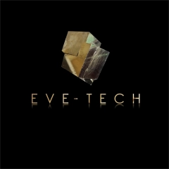 Eve-Tech Montage Sp z o.o.